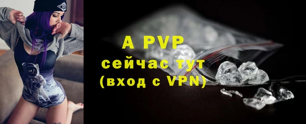 твердый Иннополис