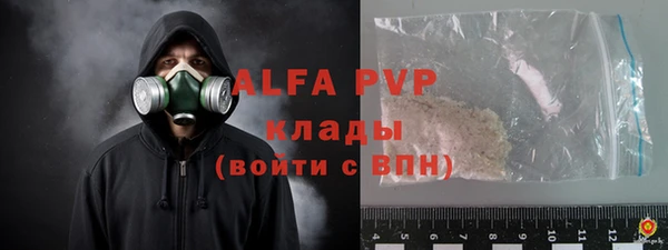 твердый Иннополис
